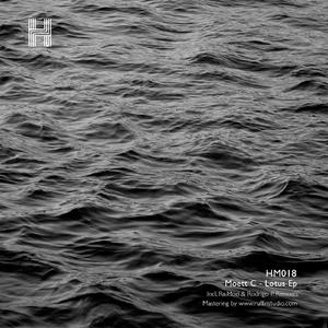 Lotus (Rodrigo P. Remix)