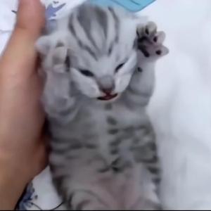 Love Me Not (slowed)