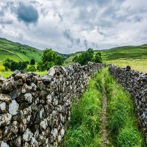 Camino Montañoso