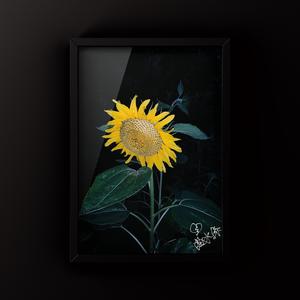 问题少年（I don't know why)