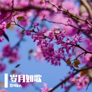 岁月如歌 伴奏