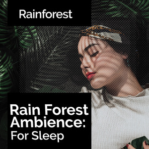 The Rain Nest