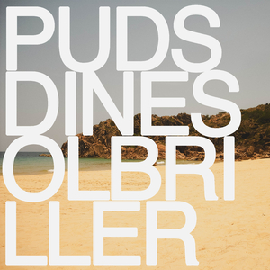 pudsdinesolbriller