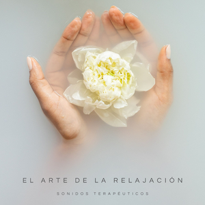 Realizaciones