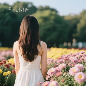 一辈子有多少天