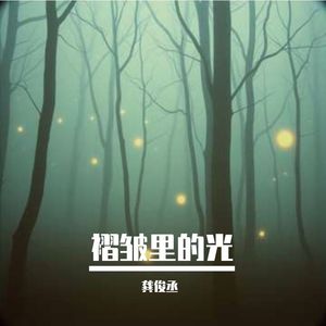 褶皱里的光