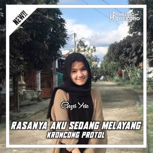 Dj Rasanya Aku Sedang Melayang X Kroncong Protol