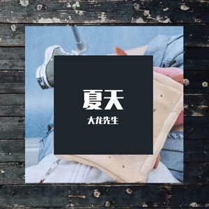 我不是你的宋冬野_copy