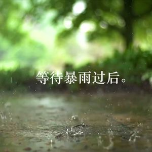 等待暴雨过后。