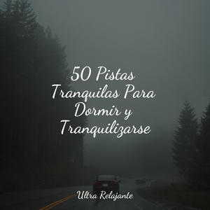 Relájate en Armonía