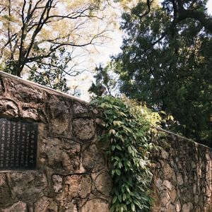 时光里的往昔之光