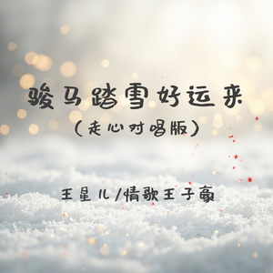 骏马踏雪好运来(走心对唱版)