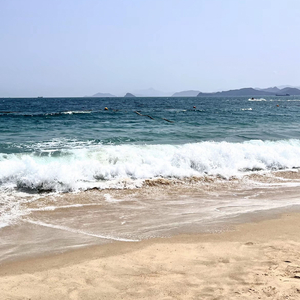 斑马斑马(弹唱版)