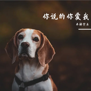 河灯（抖音热搜版）