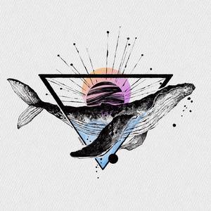 我不是你的宋冬野