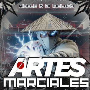 Artes Marciales