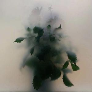 茧爱(prod.by Bubbleboy)