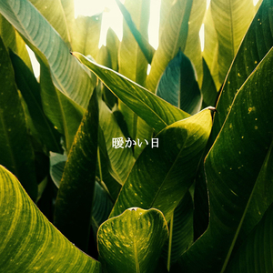 Magical Ambience for Daily Work