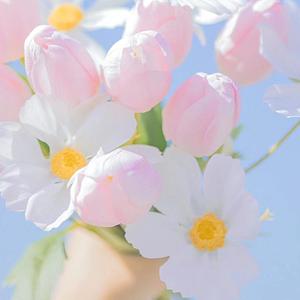 想见的人住在月亮上