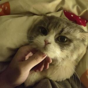 没你也能活下去