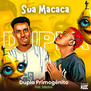 Sua Macaca
