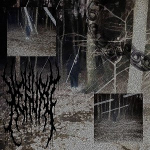 лесополоса