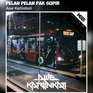 Pelan Pelan Pak Supir