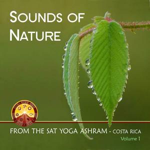 Small Waterfall for Meditation