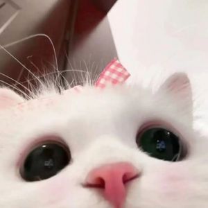 思绪