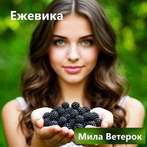 Ежевика