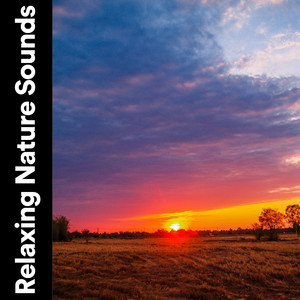 Skies and Seas, Pt. 24