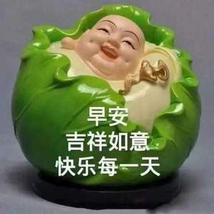 鹏飞