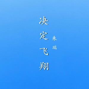 决定飞翔