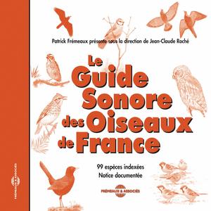 Corneille Noire Ou Mantelée