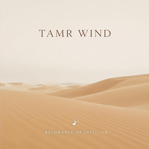 Mindful Desert