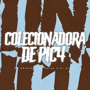 Colecionadora de Pic4
