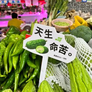 人生棋局间的输赢幻梦