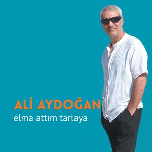 Elma Attım Tarlaya