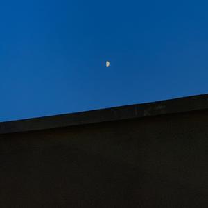 朋友们都去结婚了（翻自 宇珩）