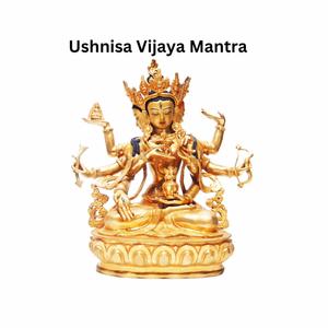 Ushnisa Vijaya mantra. Designed to clear karma and be spared rebirth in the lower realms