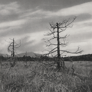 Lithi - Λήθη (Live recording session)