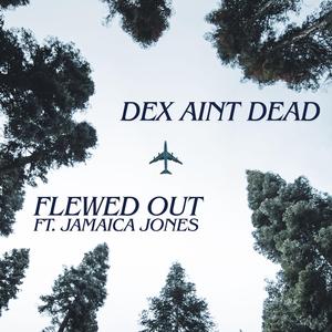 Flewed Out