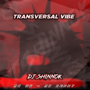 TRANSVERSAL VIBE