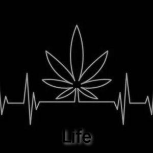 Life