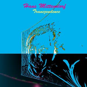 Singularity with spin (original version)