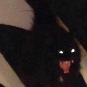 屋檐下的雨（demo）