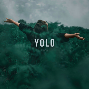 Yolo