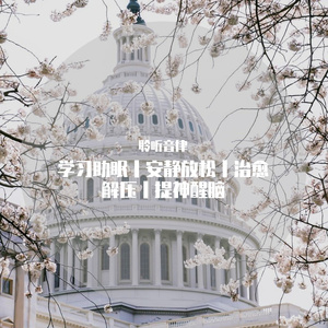 清净宁静优雅钢音乐