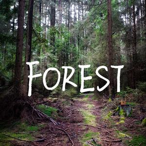 FOREST(FallinG remix)(mastered)