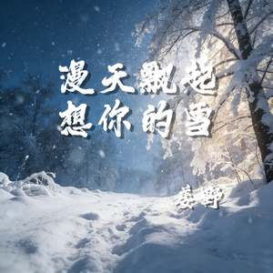 漫天飘起想你的雪